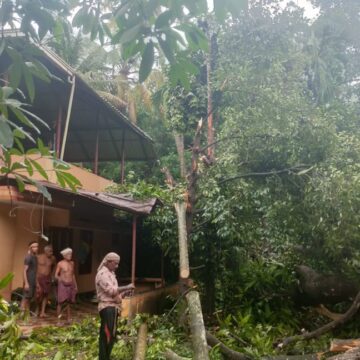 ചുഴലിക്കാറ്റിൽ14 വീടുകൾക്ക് നാശനഷ്ടം