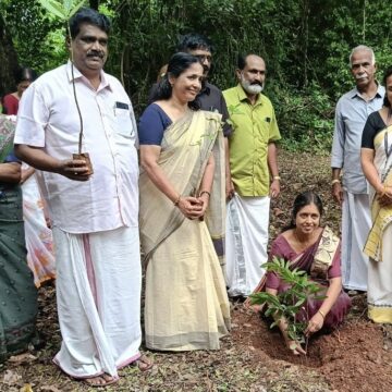 ദേവഹരിതം; പച്ചത്തുരുത്തിന് തുടക്കമായി