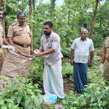 മലയാറ്റൂർ ഫോറെസ്റ്റ് സ്റ്റേഷൻന്റെ നേതൃത്വത്തിൽ ശുചീകരണ പ്രവൃത്തികൾ