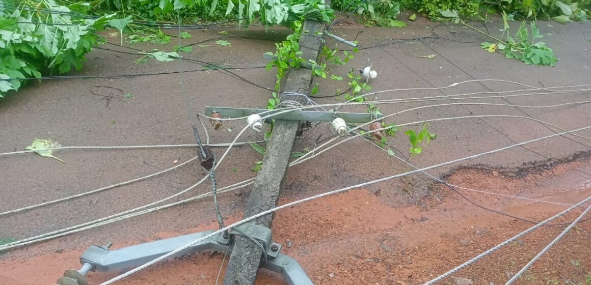 മാതൃകയായി ചാലക്കുടിയിലെ കെഎസ് ഇബി ജീവനക്കാർ