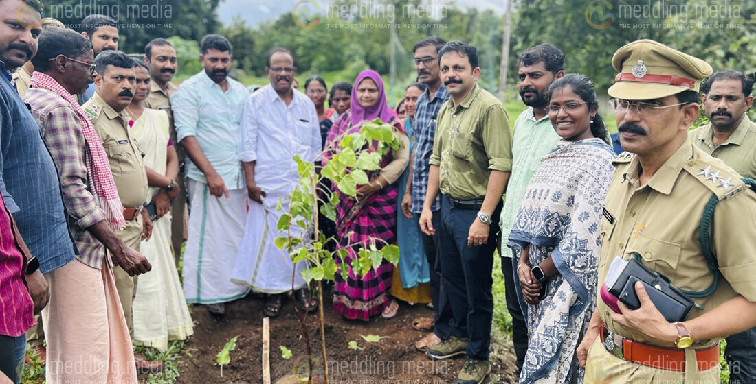 താങ്ങും തണലും പരിപാടി സംഘടിപ്പിച്ചു