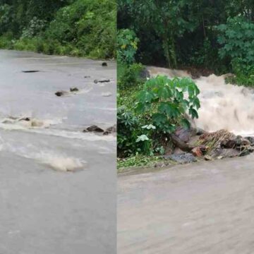 കനത്ത മഴ തുടരുന്നു : വയനാട് മണ്ണിടിച്ചിൽ