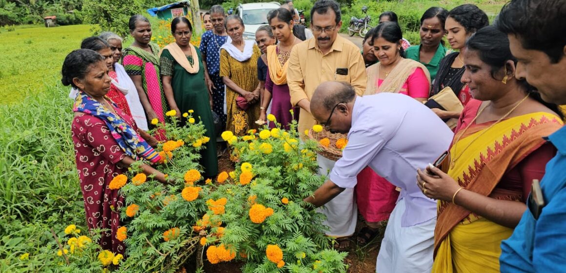 മാലിന്യത്തിന് വിട നല്‍കി ചെണ്ടുമല്ലി സുഗന്ധം