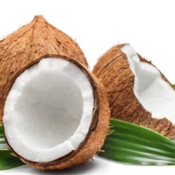 ലോക നാളികേര ദിനാഘോഷം ഇന്ന്