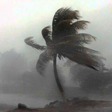 ശക്തമായ കാറ്റും മഴയും