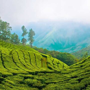 ടൂറിസം വീഡിയോ, ഫോട്ടോഗ്രാഫി മത്സരം