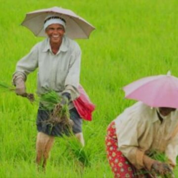 ചാലക്കുടിയിൽ കാർഷിക മേളയ്ക്ക് വേദിയൊരുങ്ങുന്നു