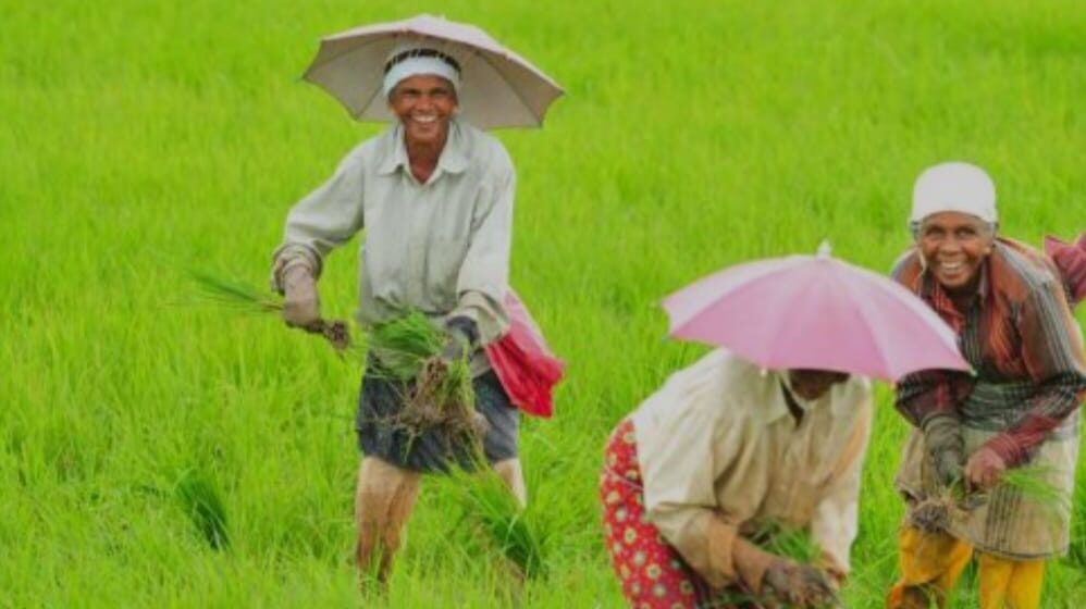 ചാലക്കുടിയിൽ കാർഷിക മേളയ്ക്ക് വേദിയൊരുങ്ങുന്നു