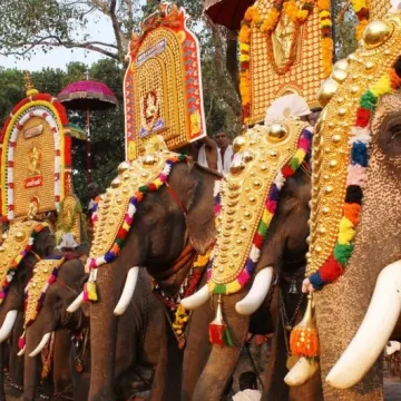 പാറമേക്കാവ്, തിരുവമ്പാടി ദേവസ്വങ്ങൾ സുപ്രീം കോടതിയിലേക്ക്