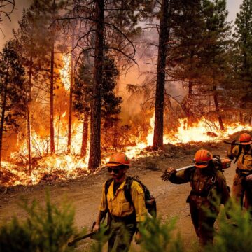 ഭീതി പടർത്തി കാട്ടുതീ