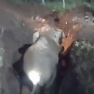 ഒടുവിൽ കര കയറി