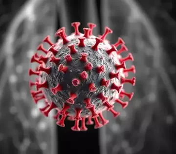 എച്ച്എംപി വൈറസ്: രോബാധിതരുടെ എണ്ണം ആറായി