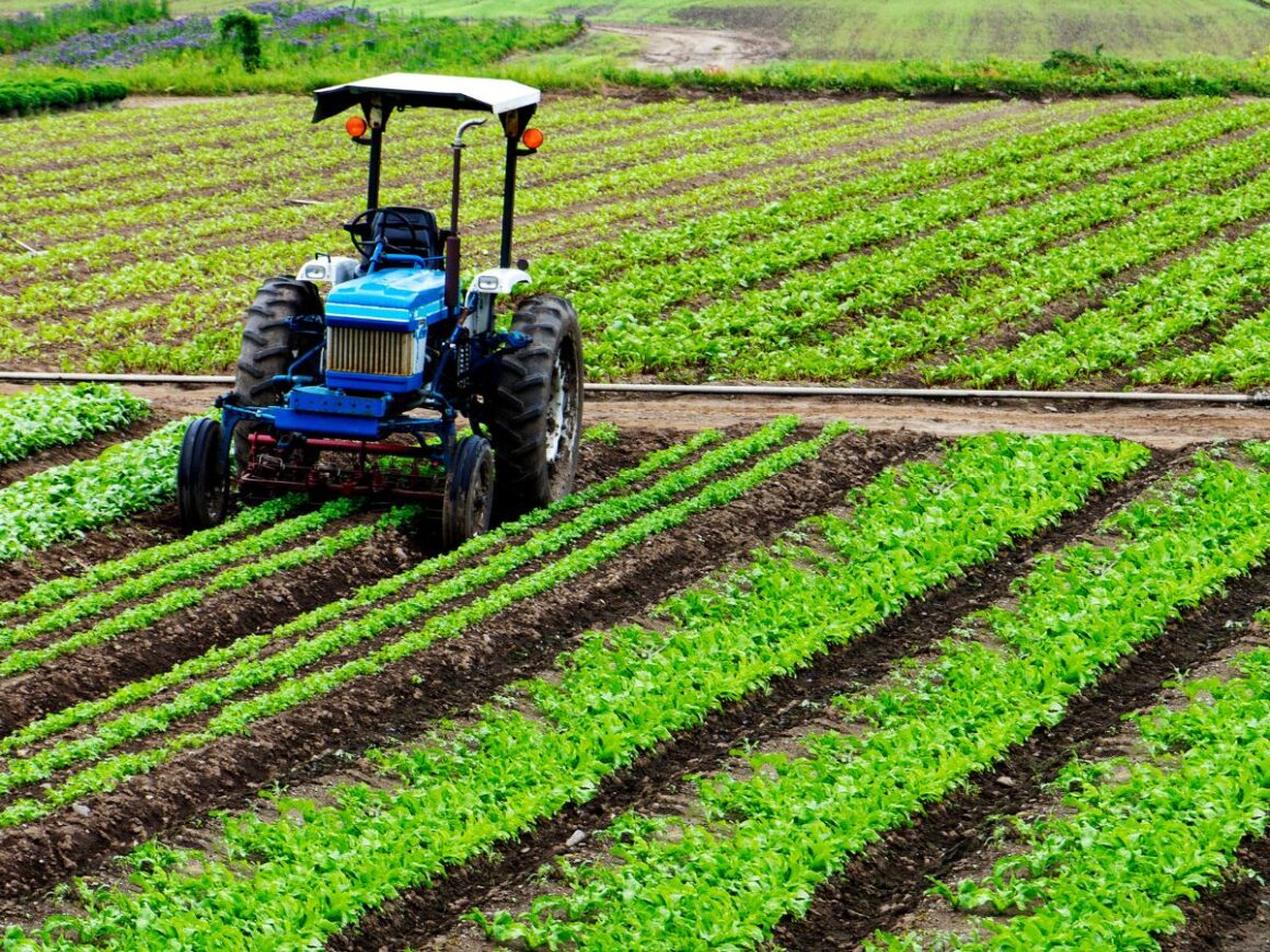 കര്‍ഷകര്‍ക്കായി പിഎം ധന്‍ധ്യാന്‍ കൃഷി യോജന പദ്ധതി