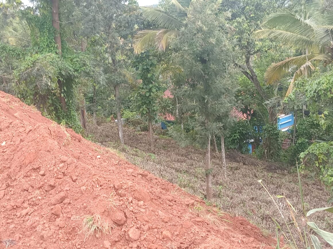 അൽഫോൺസ കോളേജിന്റെ അനധികൃത മണ്ണെടുപ്പ്: 20 ഓളം കുടുംബങ്ങൾ ഭീതിയിൽ
