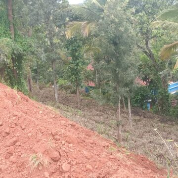 അൽഫോൺസ കോളേജിന്റെ അനധികൃത മണ്ണെടുപ്പ്: 20 ഓളം കുടുംബങ്ങൾ ഭീതിയിൽ